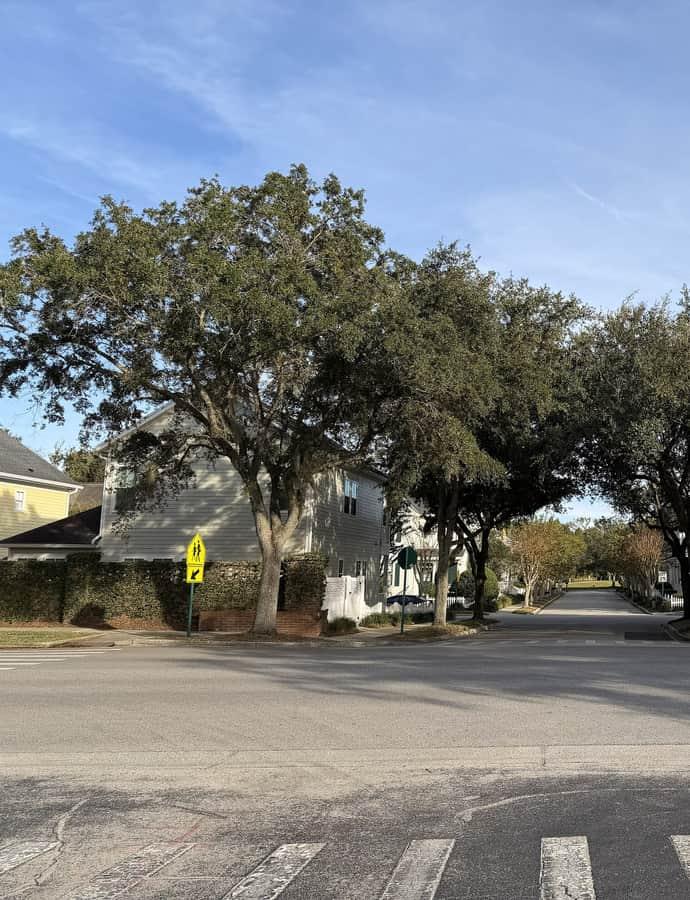 Celebration, Florida, Celebration, Florida
