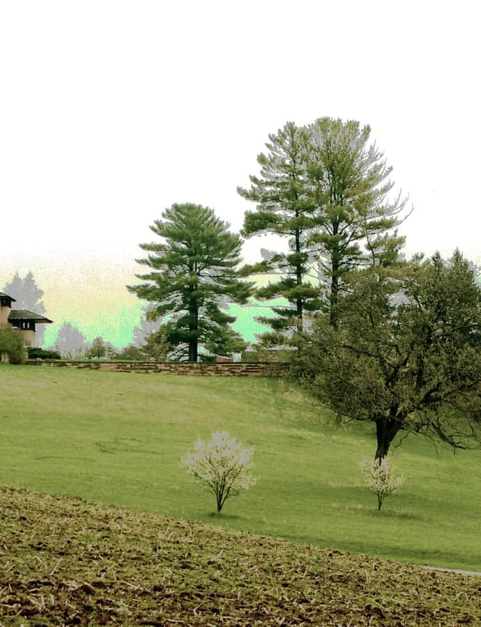 Taliesin, Spring Green, Wisconsin