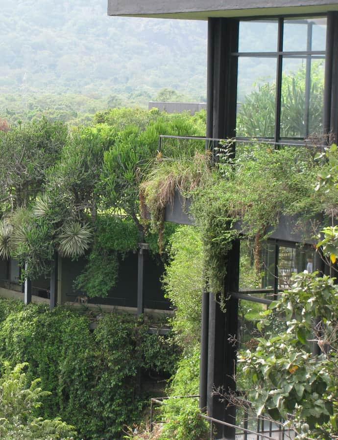Heritance Kandalama, Dambulla, Sri Lanka