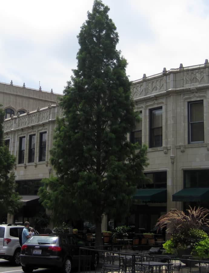 Arcade Building