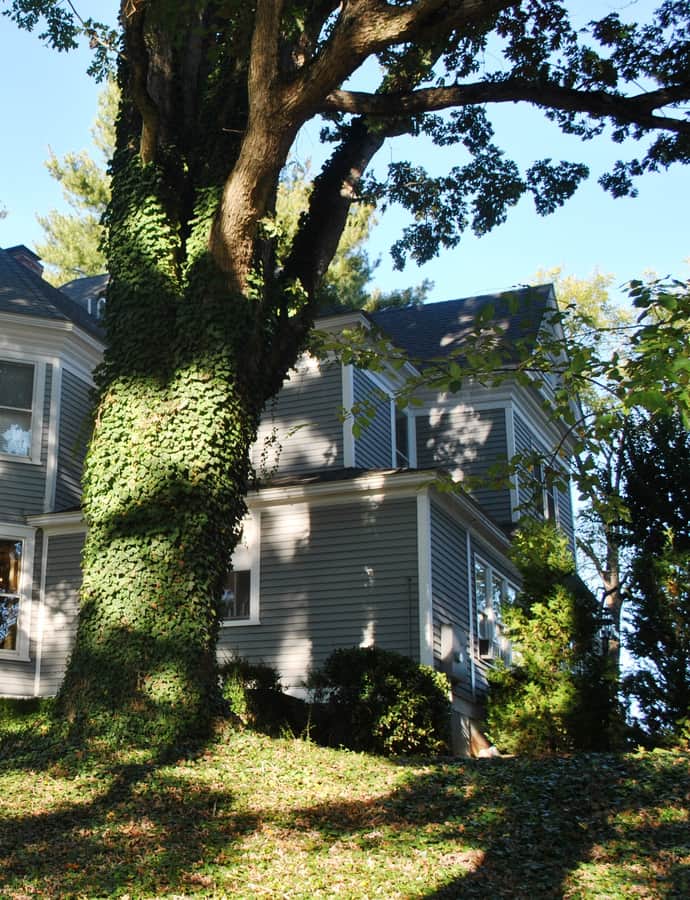 Samuel Harrison Reed House