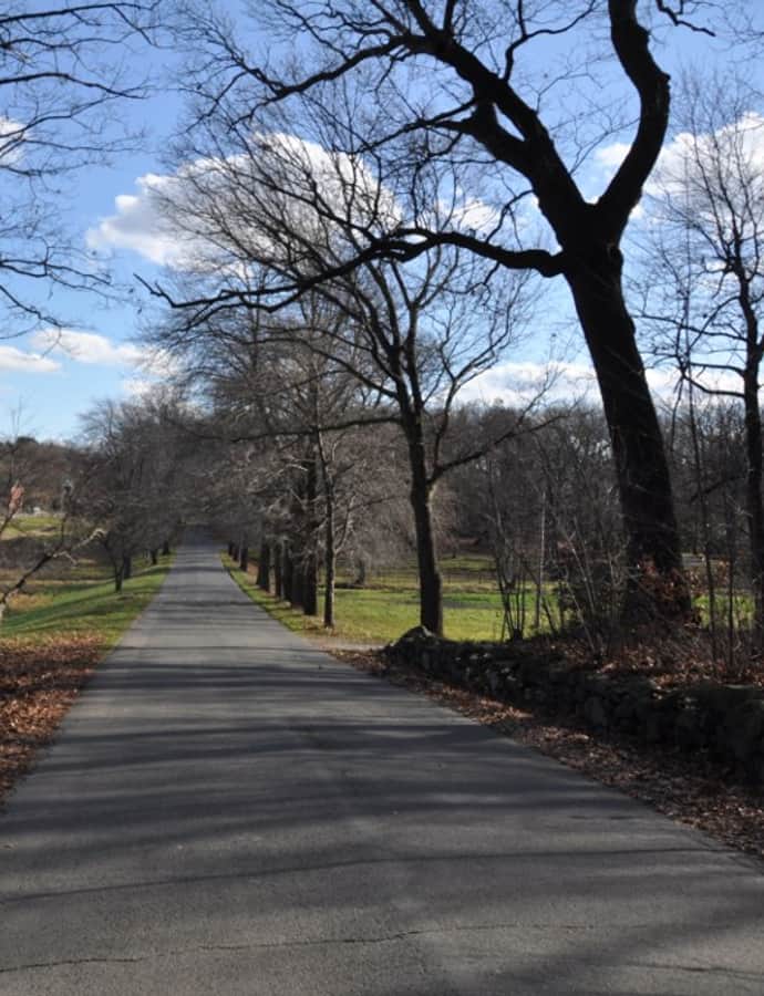 Brandegee Estate