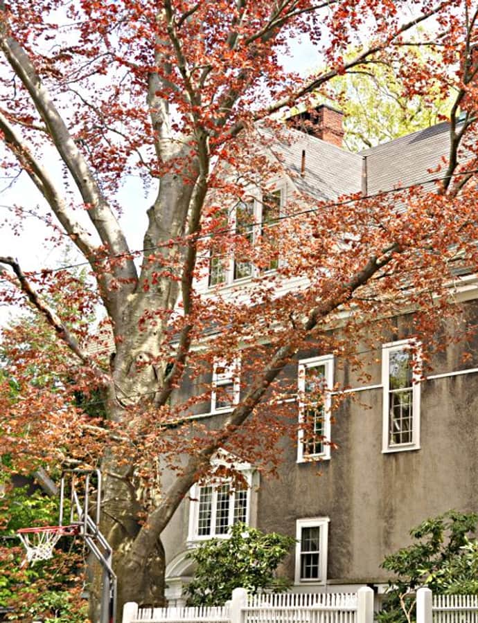 H. Langford Warren House