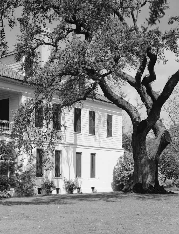 Lowndes Grove