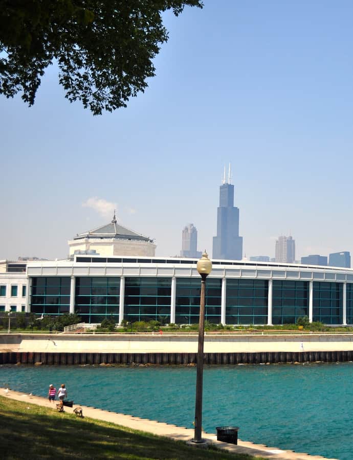 Shedd Aquarium
