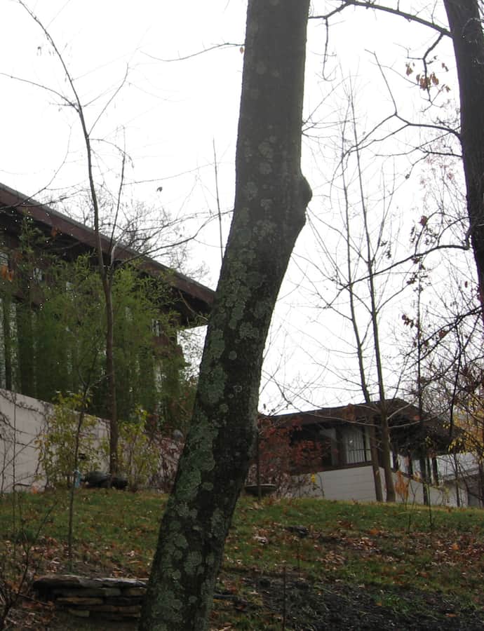 Cedric G. and Patricia Neils Boulter House