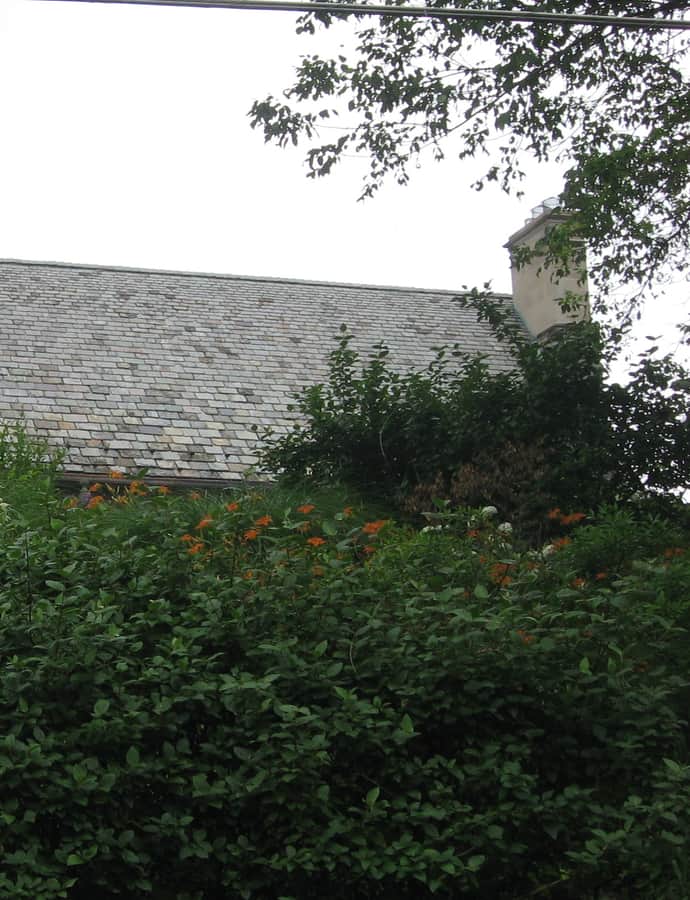 Lillybanks