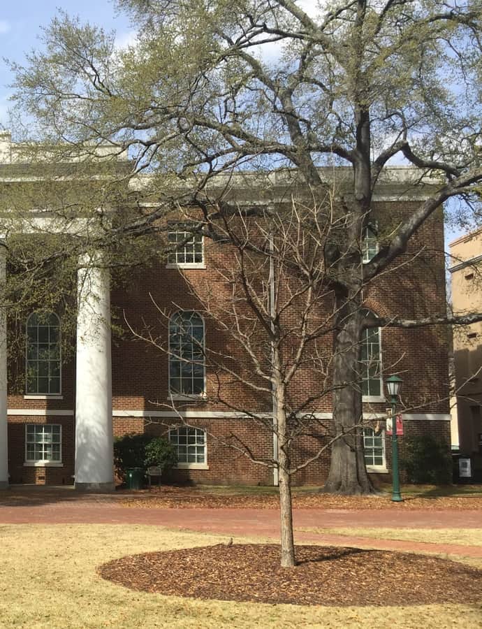 South Caroliniana Library