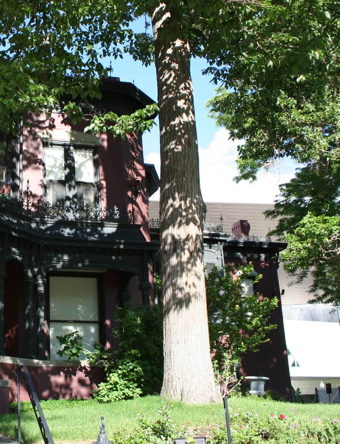 Evans House