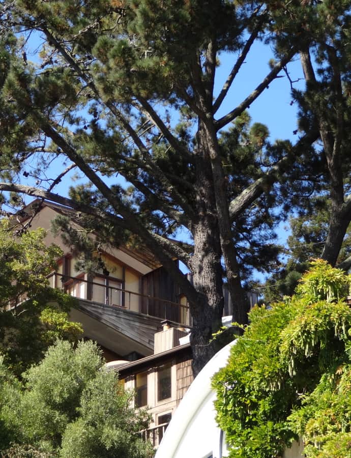 Weston Havens House