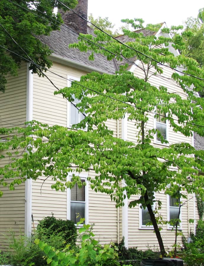 Peters House