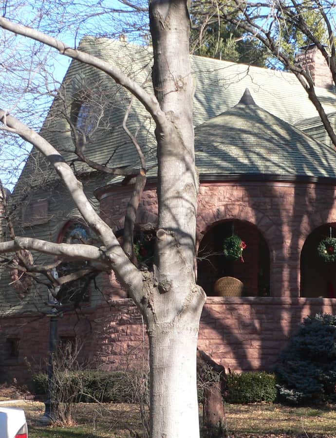 Arthur C. Ziemer House