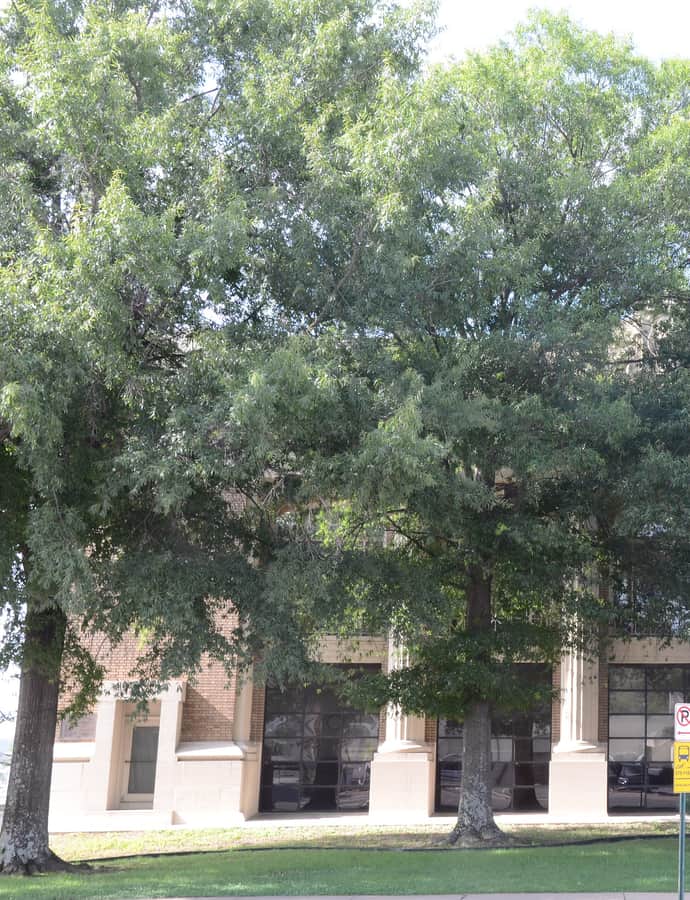 Old Little Rock Central Fire Station