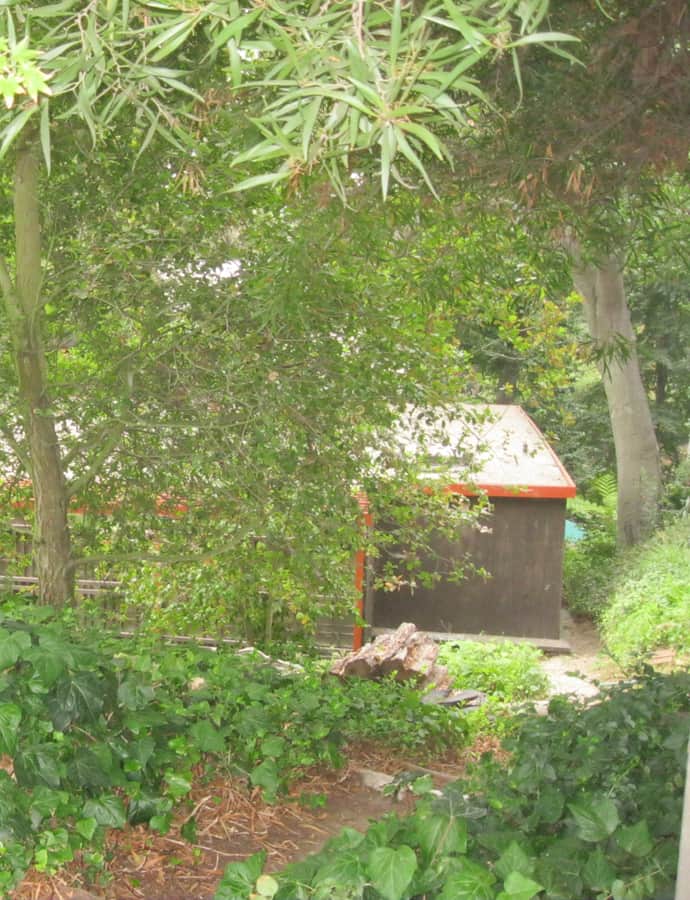 John Norton House