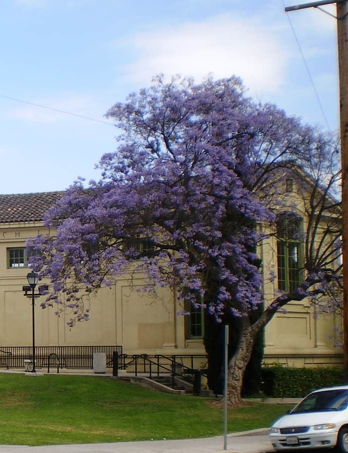 Lincoln Heights Branch Library