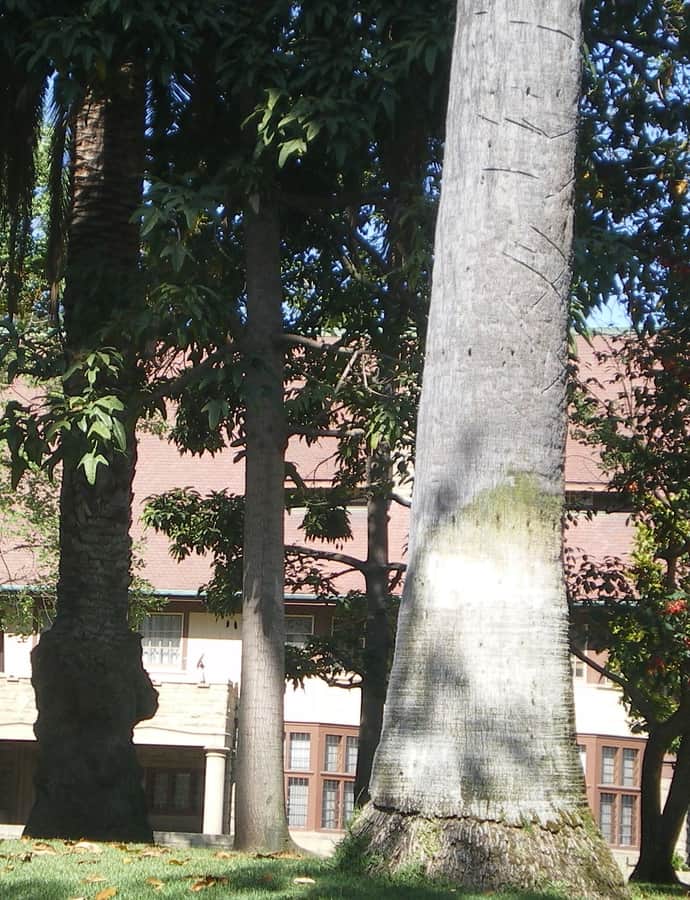 Ramsay-Durfee Estate
