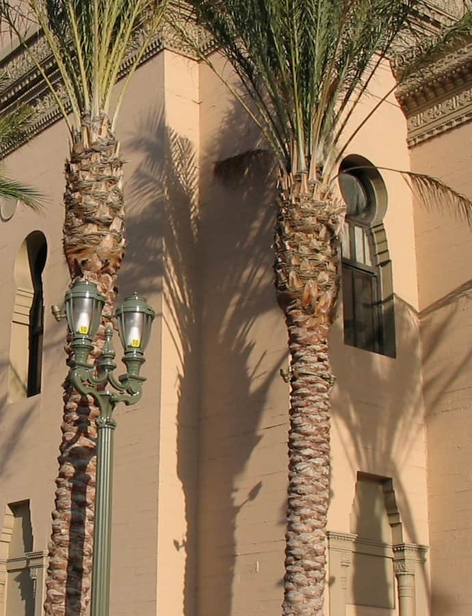 Shrine Auditorium