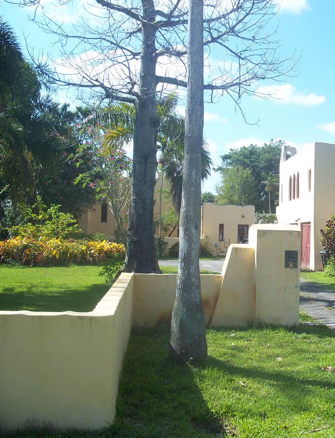 Millard–McCarty House