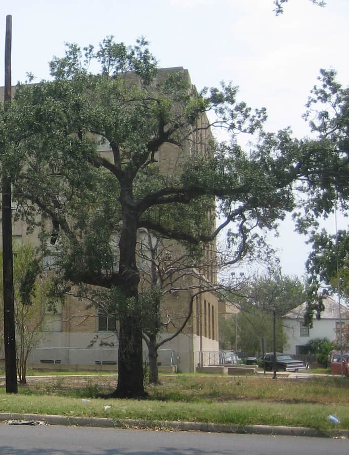 Flint-Goodridge Hospital
