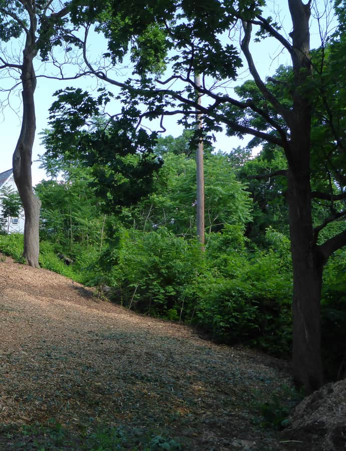 Henry F. Spaulding Coachman's House