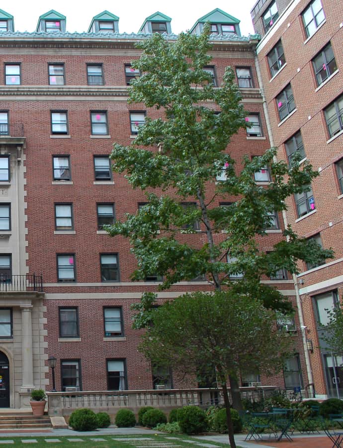 Brooks and Hewitt Halls