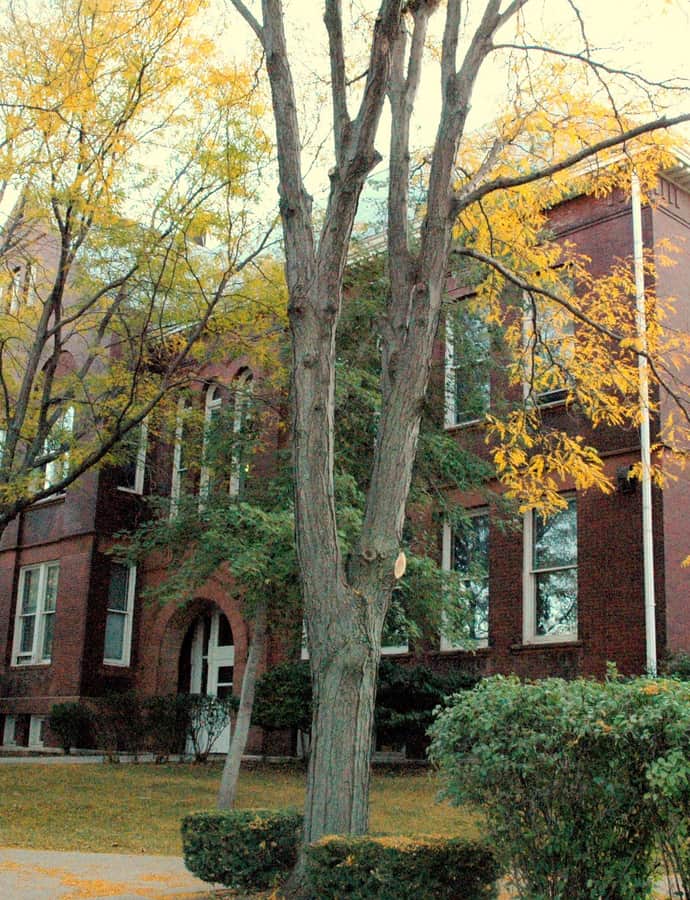 Center School