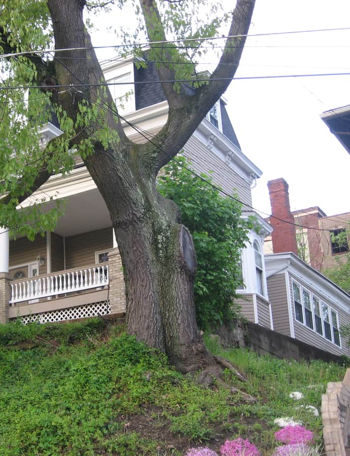 John A. Brashear House and Factory