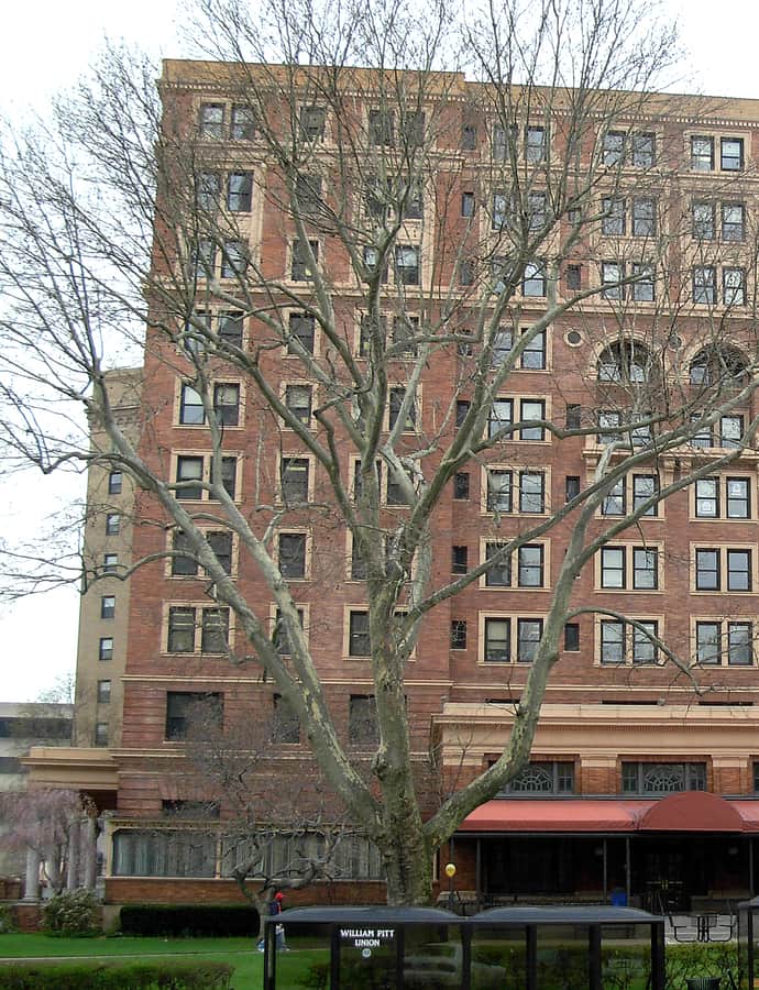 William Pitt Union