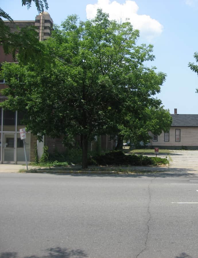 Kelley-Fredrickson House and Office Building