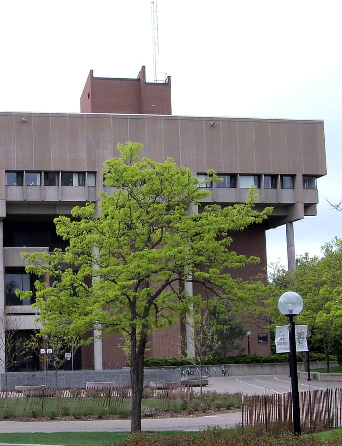 Rarig Center