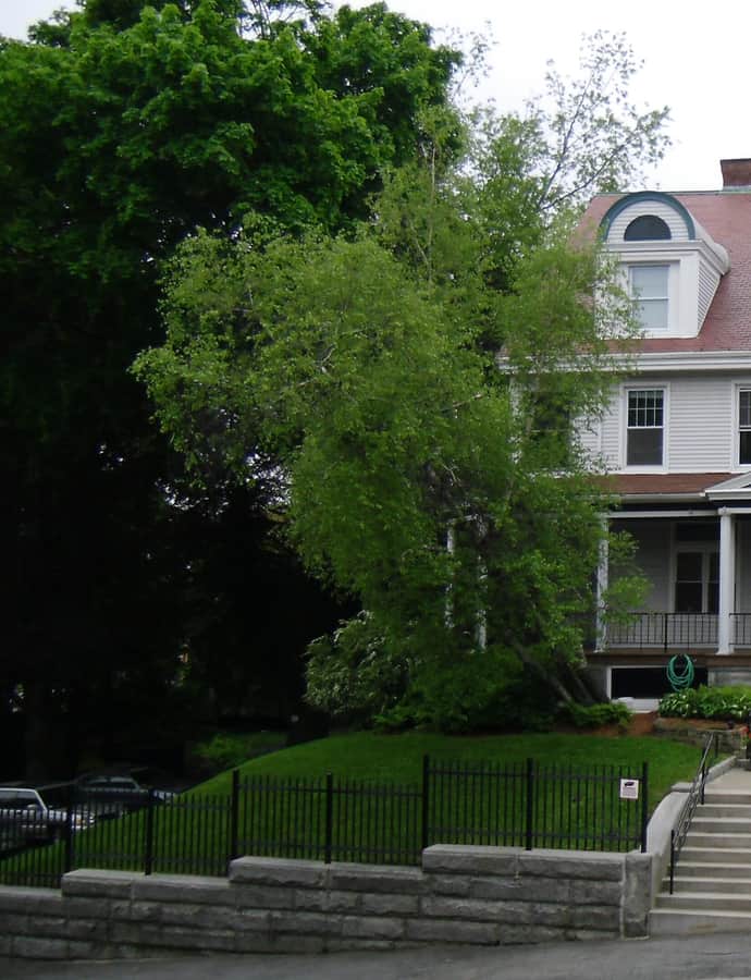 John Legg House